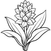 Hyazinthe Blume Gliederung Illustration Färbung Buch Seite Design, Hyazinthe Blume schwarz und Weiß Linie Kunst Zeichnung Färbung Buch Seiten zum Kinder und Erwachsene vektor