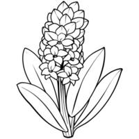 Hyazinthe Blume Gliederung Illustration Färbung Buch Seite Design, Hyazinthe Blume schwarz und Weiß Linie Kunst Zeichnung Färbung Buch Seiten zum Kinder und Erwachsene vektor