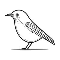 süß Vogel Illustration schwarz und Weiß Karikatur Charakter Design Sammlung. Weiß Hintergrund. Haustiere, Tiere. vektor