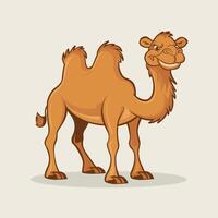 tecknad kamel isolerad på vit bakgrund vektor