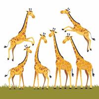 söt giraff djur- isolerat platt illustration vit bakgrund vektor