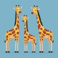 söt giraff djur- isolerat platt illustration vit bakgrund vektor