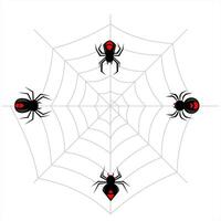 verschiedene schwarz Spinnen auf ein Spinne Netz. unheimlich schwarz Spinne zum Halloween vektor