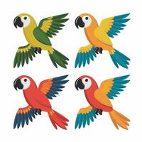 uppsättning av söt papegoja tecknad serie samling, isolerat på vit bakgrund vektor