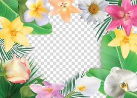 Sommer natürlicher Blumenrahmen auf transparenter Hintergrundvektorillustration vektor