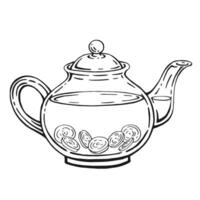 Teekanne von Tee mit gesund Tee, Ingwer. Hand gezeichnet Illustration im Gliederung Stil. vektor