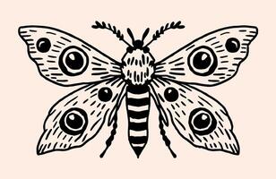 död fjäril skiss hand dragen bläck teckning illustration svart och vit bläck linje konst mörk akademiska trollhårig nyfikenhet skåp söt skön insekt estetisk element skära fil vektor