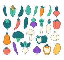 Gemüse Illustration Satz. ein bunt Sammlung von verschiedene Gemüse, einschließlich Möhren, Tomaten, Brokkoli, Pfeffer und viele Mehr vektor
