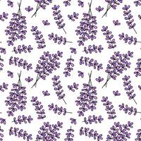 Lavendel Blumen Muster. nahtlos Hintergrund. süß Gekritzel Blumen- blühen Muster. vektor