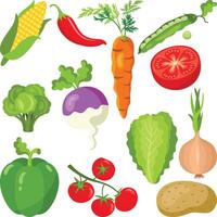 einstellen Digital Collage von anders frisch Gemüse vektor
