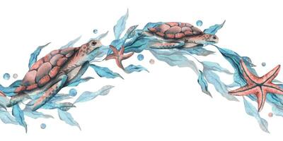 sköldpaddor, tång i de form av en Vinka med sjöstjärna och vatten bubblor. vattenfärg illustration hand dragen i turkos och korall färger. sömlös gräns, mönster isolerat från de bakgrund vektor