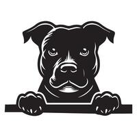 Hund spähen - - amerikanisch Staffordshire Terrier Hund spähen Gesicht Illustration im schwarz und Weiß vektor
