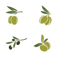 Olive Symbol Illustration Design Vorlage vektor