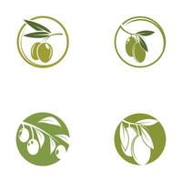 Olive Symbol Illustration Design Vorlage vektor