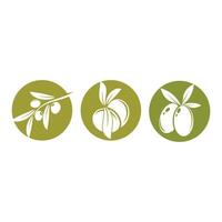 Olive Symbol Illustration Design Vorlage vektor