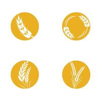 Landwirtschaft Weizen Logo Vorlage und Symbol vektor