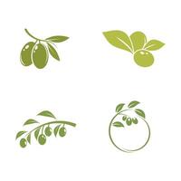 Olive Symbol Illustration Design Vorlage vektor