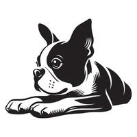 en avslappnad boston terrier hund illustration i svart och vit vektor