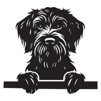 hund kikar - trådhårig pekande griffon hund kikar ansikte illustration i svart och vit vektor