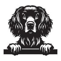 Hund spähen - - Englisch Setter Hund spähen Gesicht Illustration im schwarz und Weiß vektor