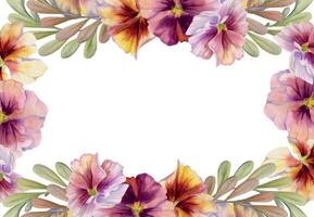hand dragen vattenfärg illustration botanisk victorian blommor löv. rosa mauve fikus altfiol, grön gräshoppa indigo gren. hörn ram isolerat på vit bakgrund. design bröllop svit, kärlek kort vektor