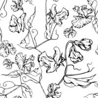 hand dragen grafisk bläck illustration botanisk blommor löv. ljuv evighet ärta, vicker vinda grönsak rankor. sömlös mönster isolerat vit bakgrund. bröllop, kort, blommig affär vektor