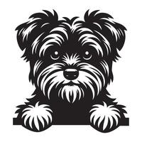 Hund spähen - - Dandie Dinmont Terrier Hund spähen Gesicht Illustration im schwarz und Weiß vektor