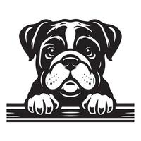 Illustration von ein Bulldogge Hund spähen Gesicht im schwarz und Weiß vektor