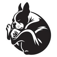 Boston Terrier - - Boston Terrier Hund schläfrig Illustration im schwarz und Weiß vektor