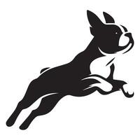 Boston Terrier - - Boston Terrier Hund Springen Illustration im schwarz und Weiß vektor