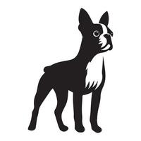 boston terrier - boston terrier hund stående illustration i svart och vit vektor