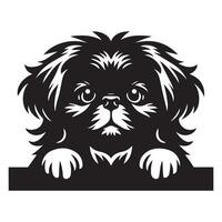 illustration av en pekingese hund kikar ansikte i svart och vit vektor