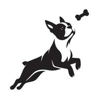 boston terrier - boston terrier hund spelar med en ben illustration i svart och vit vektor