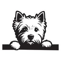 Hund spähen - - Westie Hund spähen Gesicht Illustration im schwarz und Weiß vektor