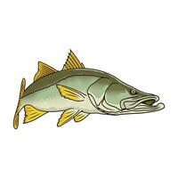 snook fiske illustration logotyp bild t skjorta vektor