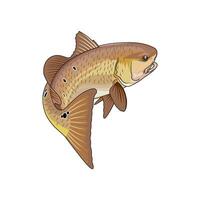 roter Fisch Angeln Illustration Logo Bild t Hemd vektor