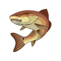 roter Fisch Angeln Illustration Logo Bild t Hemd vektor