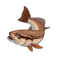 röd fisk fiske illustration logotyp bild t skjorta vektor