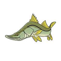 snook fiske illustration logotyp bild t skjorta vektor