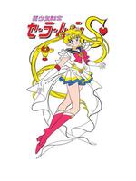 Held Mädchen Sailor Moon neun vektor