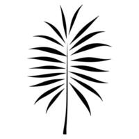 Silhouette von Palme Blatt A, einstellen von Palme Blätter Silhouetten vektor