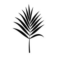 Silhouette von Palme Blatt A, einstellen von Palme Blätter Silhouetten vektor