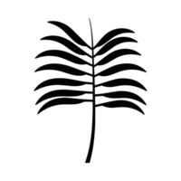 Silhouette von Palme Blatt A, einstellen von Palme Blätter Silhouetten vektor