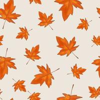 nahtloses Muster mit handgezeichneten isolierten Herbstahornblättern. vektor