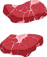 färsk nötkött, färsk nedskärningar av kött vektor