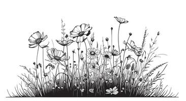 fält av vild blommor skiss , hand dragen i klotter stil illustration vektor