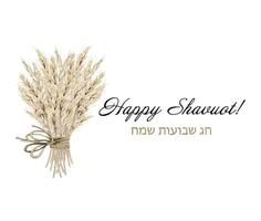 Aquarell glücklich Shavuot Gruß Banner, Hebräisch chag gleich Illustration. ländlich Weizen Ohren Strauß mit Seil gebunden Bogen vektor