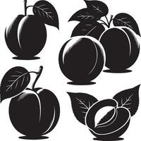 Aprikosen Obst Silhouette, schwarz Farbe Silhouette vektor