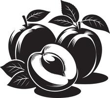 aprikoser frukt silhuett, svart Färg silhuett vektor