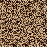 leopard hud sömlös mönster vektor